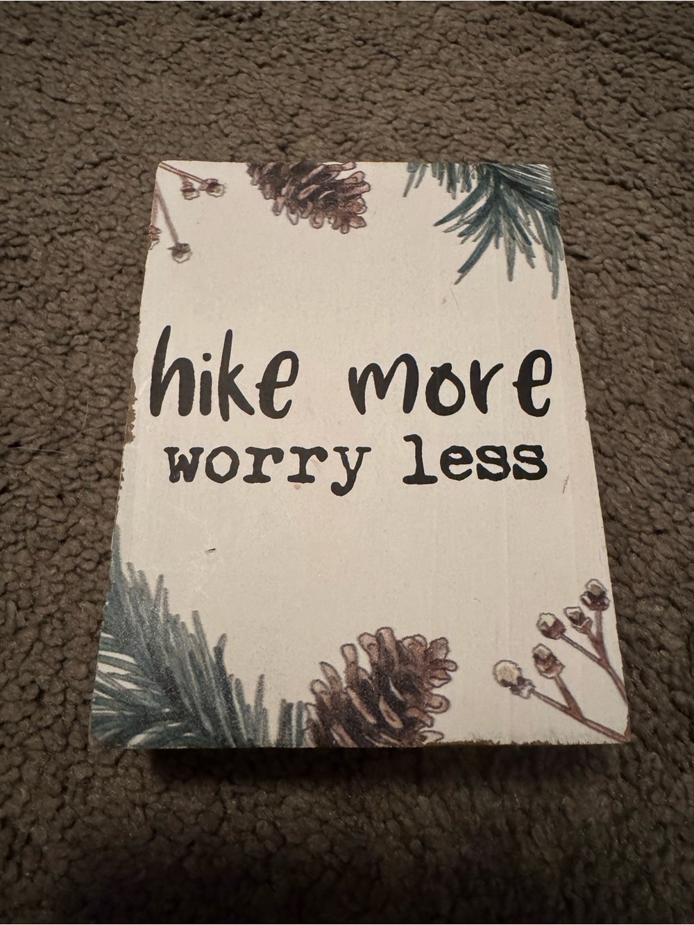 Hike More Worry Less Pineconr Sign - White